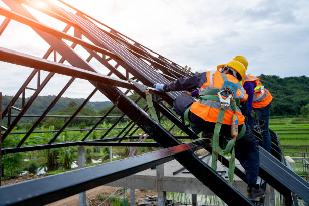 Best Metal Roofing Contractor  in Lowesville, NC
